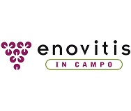 Enovitis in campo (Il Naviglio Società Agricola - Fabbrico Reggio Emilia)
